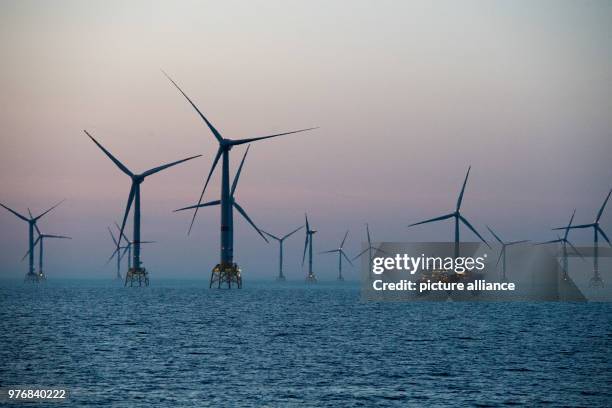 967 Baltic Cable Stock Photos, High-Res Pictures, and Images - Getty Images