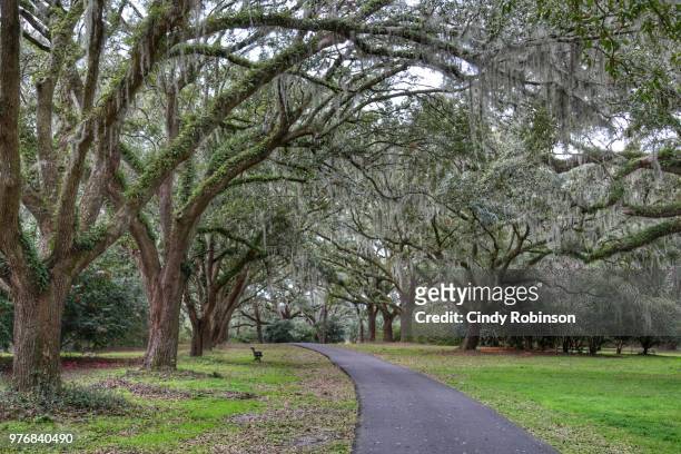 southern landscape - southeast stock pictures, royalty-free photos & images