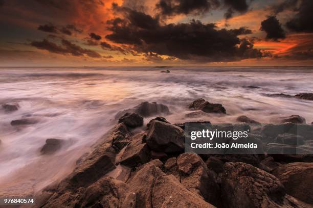 3 750 Nostrum Stock Photos High Res Pictures And Images Getty Images 3-750-nostrum-stock-photos-high-res-pictures-and-images-getty-images