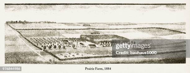 prairie farm, frühe amerikanische gravur, 1884 - koppel stock-grafiken, -clipart, -cartoons und -symbole