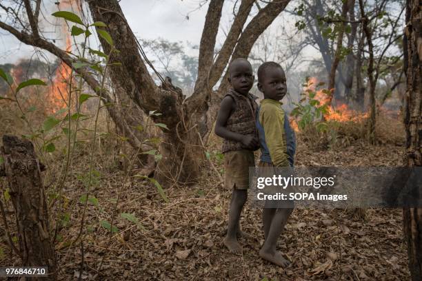 Two children stand in front of a fire their father lit to clear land for farming. Medics create prosthetics for some of the thousands of Ugandan land...