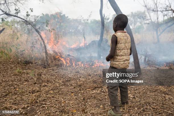 Child of former Lord's Resistance Army captive, Julius Peter, watches a fire started to clear land in Lologi, northern Uganda. Medics create...