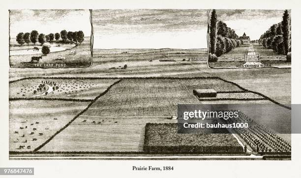 prairie farm, early american engraving, 1884 - prairie stock illustrations