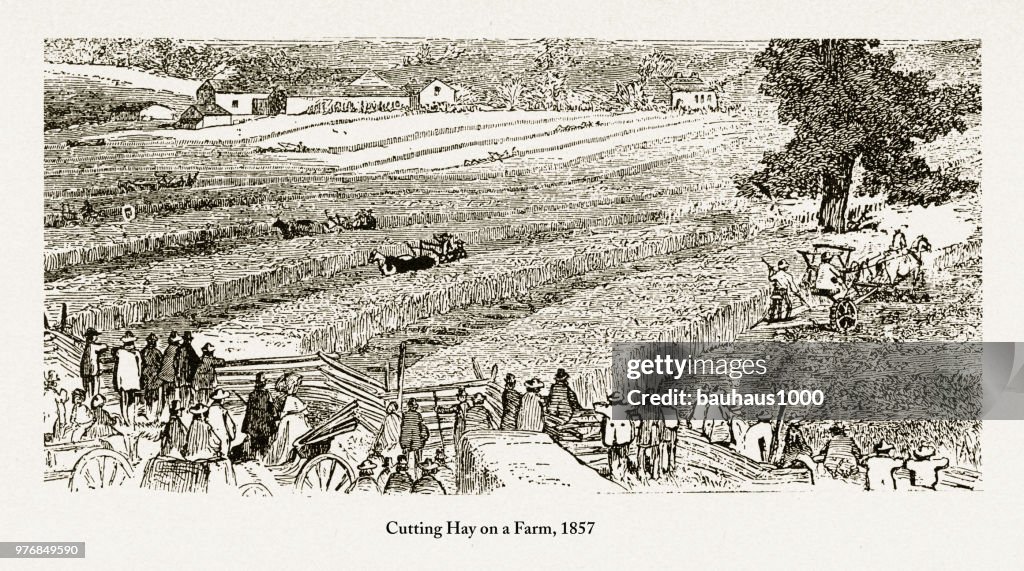 Cutting Hay on a Farm, Early Americans Engraving, 1857