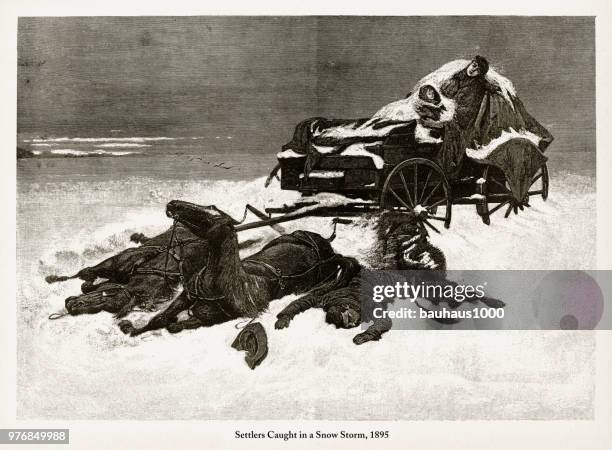 settlers caught in a snow storm, early american engraving, 1895 - immigrant stock illustrations