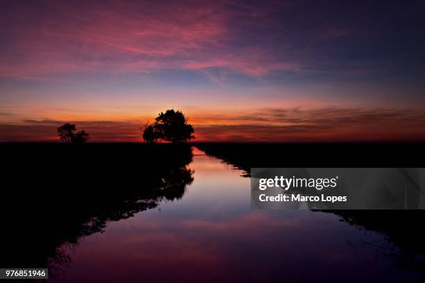 ponta da erva at sunrise, alcochete, lisboa region, portugal - alcochete stock pictures, royalty-free photos & images