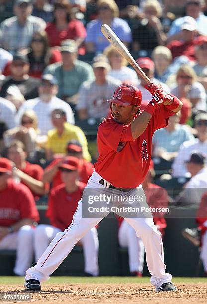 Maicer Izturis of the Los Angeles Angels of Anaheim bats against the Chicago White Sox during the MLB spring training game at Tempe Diablo Stadium on...