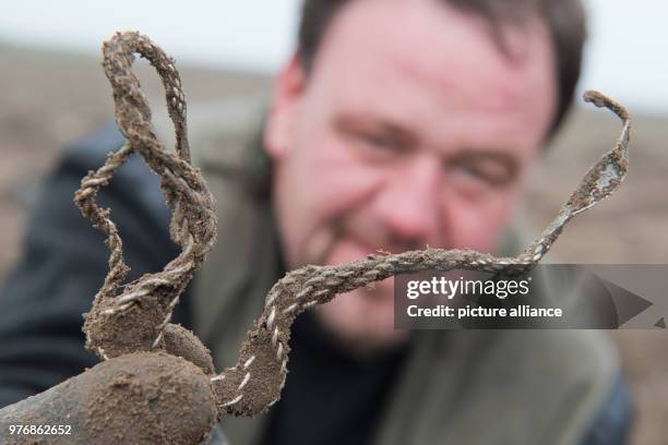 April 2018, Germany, Schaprode: Amateur archaeologist Rene Schoen holding a silver torc during excavations of the silver artefacts at Schaprode....