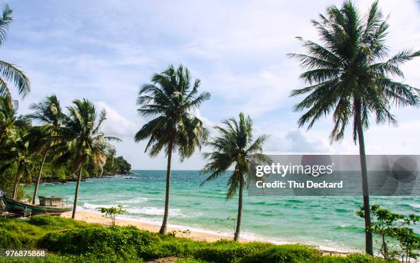 tropical beach, phu quoc, vietnam - insel phu quoc stock-fotos und bilder