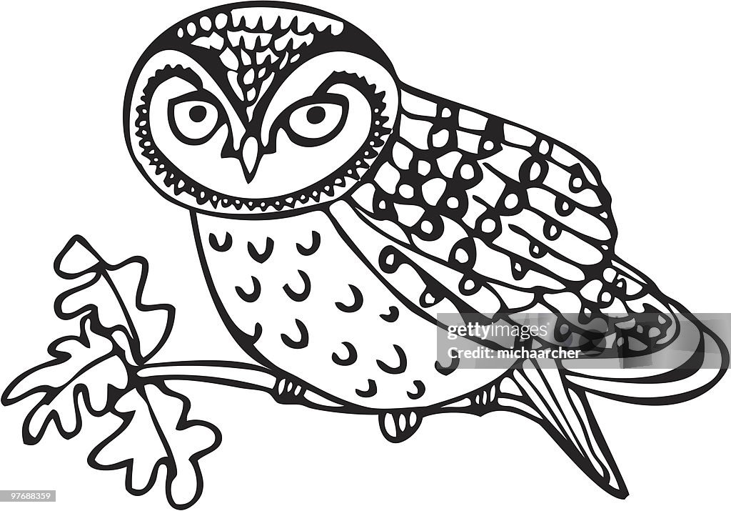 Owlet