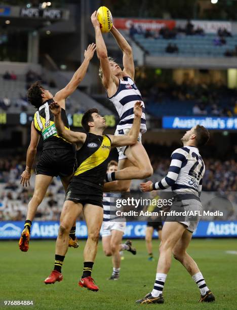 Mark Blicavs of the Cats marks the ball over Daniel Rioli and Trent Cotchin of the Tigers and Sam Menegola of the Cats during the 2018 AFL round 13...