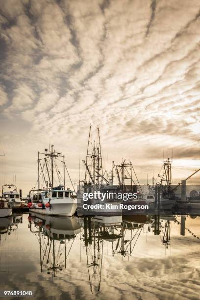 steveston marina fishing boats with dramatic sky warm - bc commercial fishing boats stock pictures, royalty-free photos & images