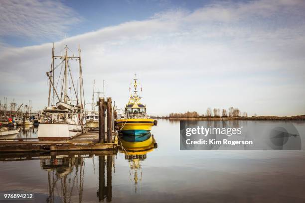 steveston moored boats and landscape - bc commercial fishing boats stock pictures, royalty-free photos & images