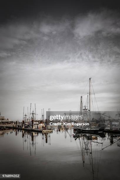 steveston marina fishing boats dramatic - bc commercial fishing boats stock pictures, royalty-free photos & images