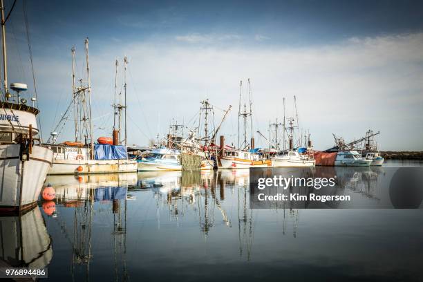 steveston fishing boats moored at marina in late afternoon - bc commercial fishing boats stock pictures, royalty-free photos & images