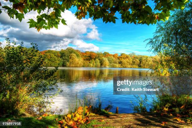 lake in autumn forest, hatfield lake, usa - hatfield stock pictures, royalty-free photos & images