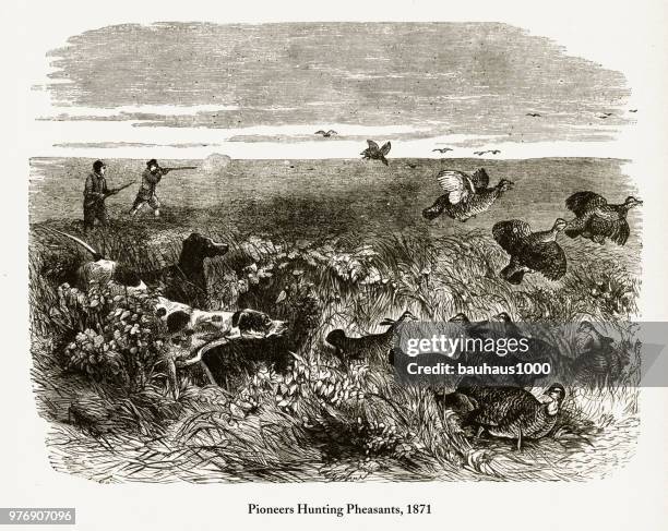ilustraciones, imágenes clip art, dibujos animados e iconos de stock de caza de faisanes, los pioneros tempranos americano grabado, 1871 - pheasant hunting