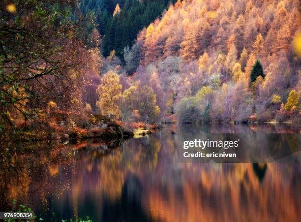 autumn at loch tummel - loch tummel stock pictures, royalty-free photos & images