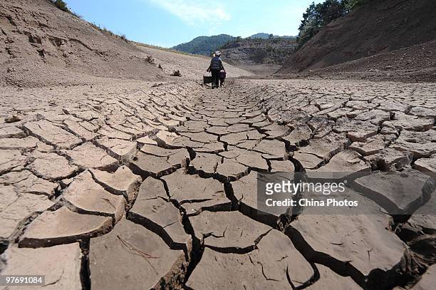 Resident fetches water from a drying reservoir on March 13, 2010 in Yanbian County of Panzhihua City, Sichuan Province, China. There has been no...