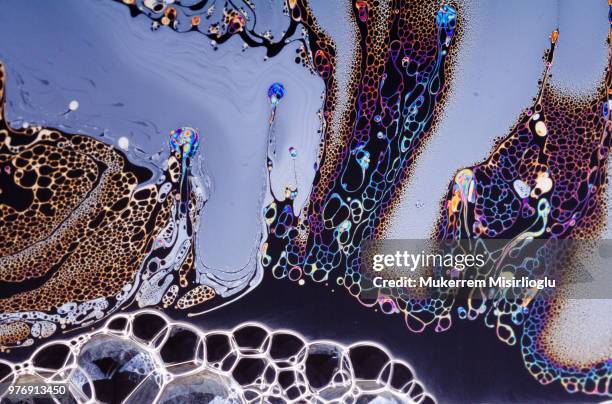 face of bubble - scientific micrograph stock-fotos und bilder