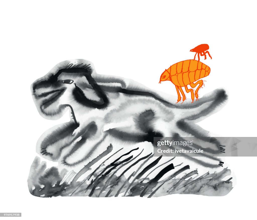 Laufender Hund und Flöhe