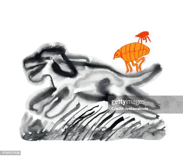 running dog and fleas - labradoodle running stock illustrations