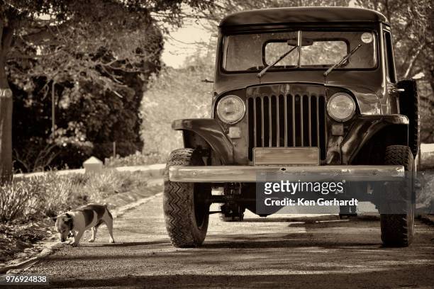 vintage truck runabout. klein constantia, cape town. south africa - constantia stock-fotos und bilder