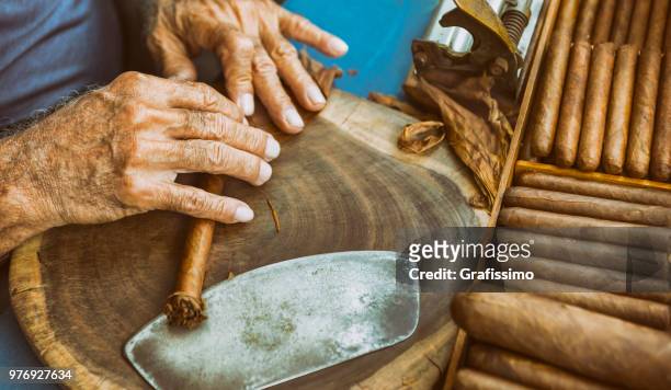 viejo hombre fabricación habano con tabaco hojas - puro fotografías e imágenes de stock