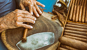 Cuban old man manufacturing cigar with tabacco leaves