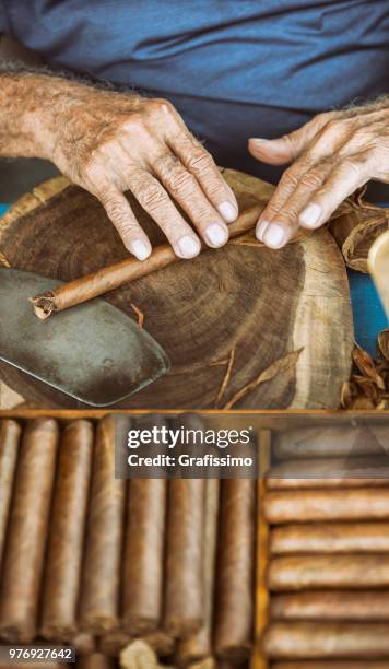 feuilles de cigare vieux cubain de fabrication d’homme avec tabacco - cigar photos et images de collection