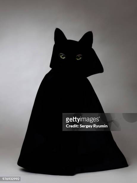 siluette of a cat wearing a cloak - vampire silhouette stock pictures, royalty-free photos & images