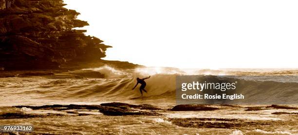 surfer sunrise tamarama - tamarama stock pictures, royalty-free photos & images