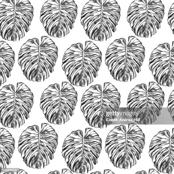 philodendron leaf in watercolor and ink isolated on white - cheese plant pattern stock illustrations