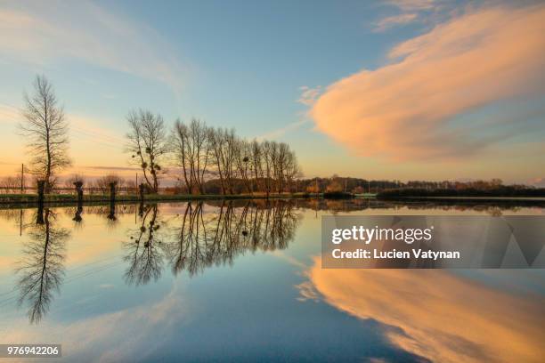 miroir, mon beau miroir - miroir stock pictures, royalty-free photos & images