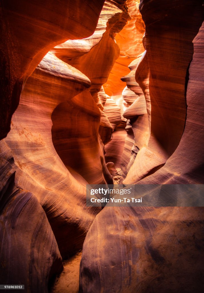 Rock formations in Upper Antelope Canyon, Antelope Canyon, Page, Navajo Reservation, Coconino County, Arizona, USA