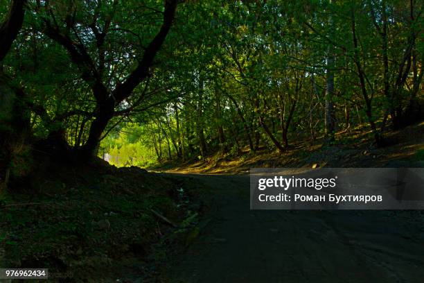 tyumen, russia - tyumen stock pictures, royalty-free photos & images