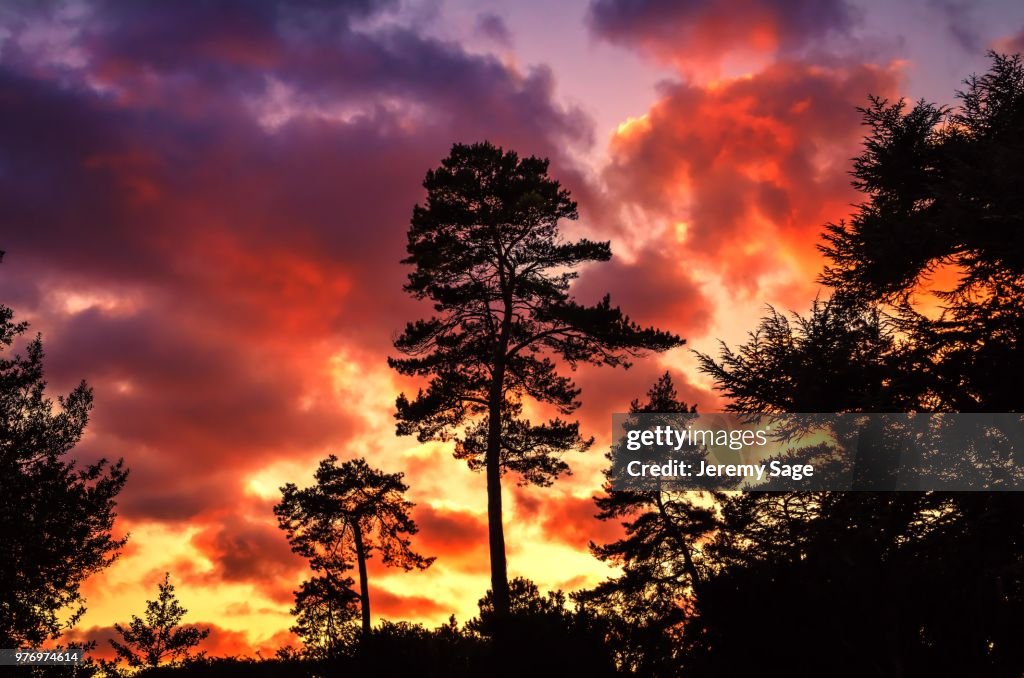 Red sky at night