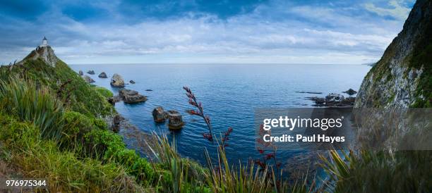 catlin coast and sea, nugget point, south island, new zealand - nugget point stock pictures, royalty-free photos & images