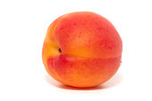 Armenian plum (Prunus armeniaca)