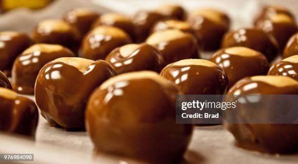 buckeyes - profiterole stock pictures, royalty-free photos & images