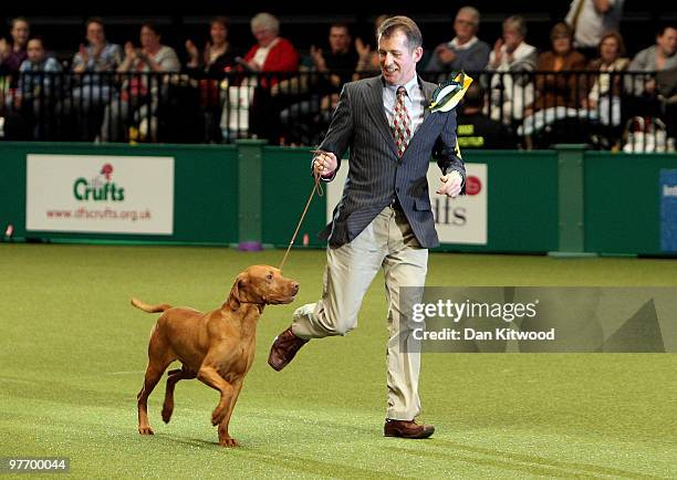 Yogi the Hungarian Vizsla and handler John Thirwell celebrate after winning 'Best in Show' at the 2010 Crufts dog show on March 14, 2010 in...