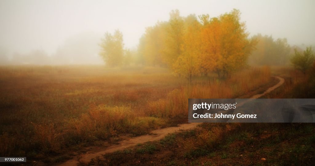Fog and Trail