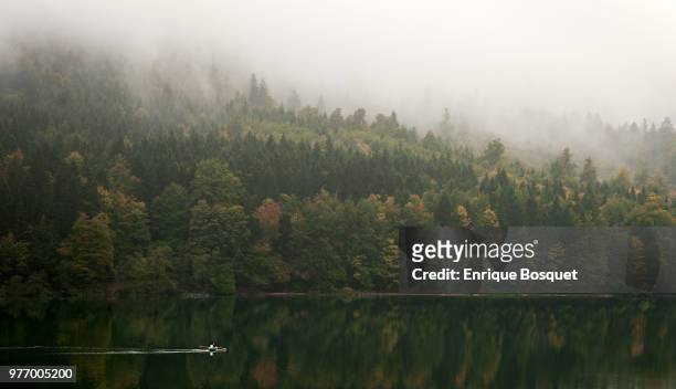 lake alpsee - lake alpsee stock pictures, royalty-free photos & images