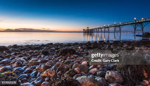 rocky highlights - clevedon pier stockfoto's en -beelden