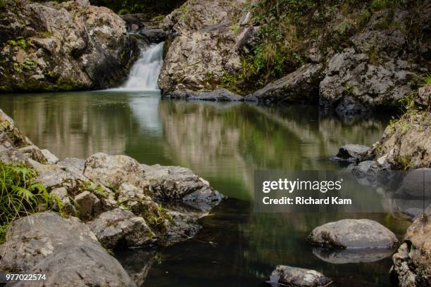 Hunua Ranges 142 Hunua Ranges Stock Photos, High-Res Pictures, and Images - Getty Images