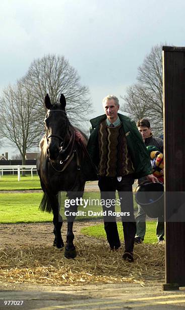 Feb 2001 A horse walks through the straw that is soaked in disinfectant to get to the stables in an attempt to kill Foot and Mouth bacteria at...