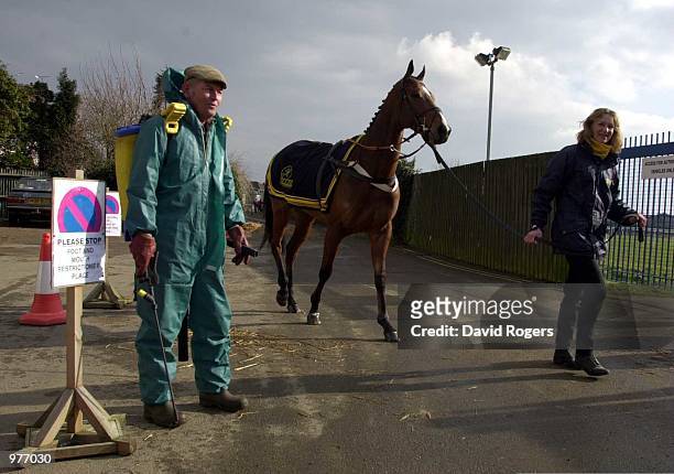 Feb 2001 A horse is led on to the course past a man equiped with disinfectant sprayer at Leicester race course. Mandatory Credit: David...