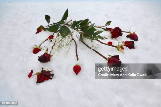 cold heart 2 - amor não correspondido imagens e fotografias de stock