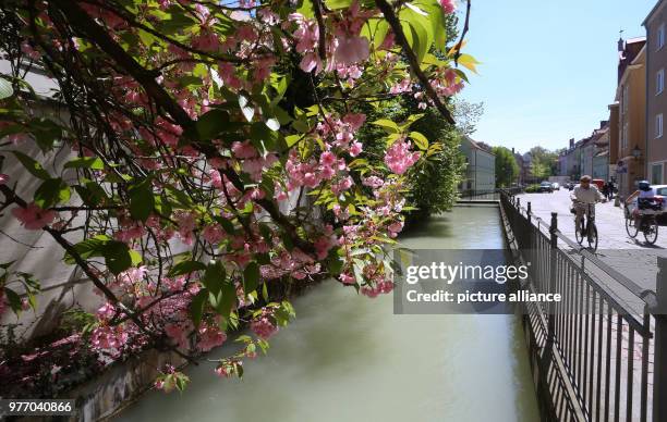 April 2018, Germany, Augsburg: A canal with water from the Lechs flowing through the old town. The city of Augsburg has applied as 'Wasserbau und...