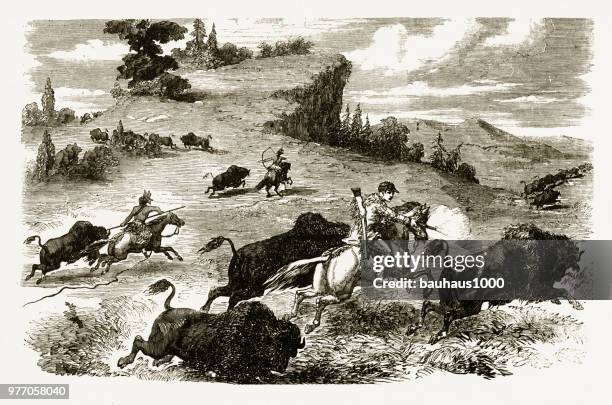ilustraciones, imágenes clip art, dibujos animados e iconos de stock de poineers y los indios americanos caza bisonte grabado, 1857 - indios apache